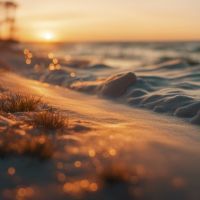 Camping à Saint-Hilaire-de-Riez : nature et mer