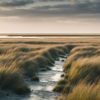 Découvrez les trésors du parc de la mer des Wadden